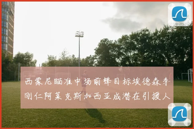 西蒙尼瞄准中场前锋目标埃德森李刚仁阿莱克斯加西亚成潜在引援人选