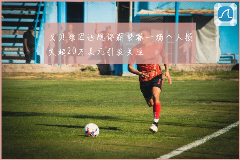 戈贝尔因违规停薪禁赛一场个人损失超20万美元引发关注