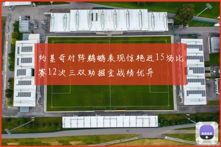 约基奇对阵鹈鹕表现惊艳近15场比赛12次三双助掘金战绩优异