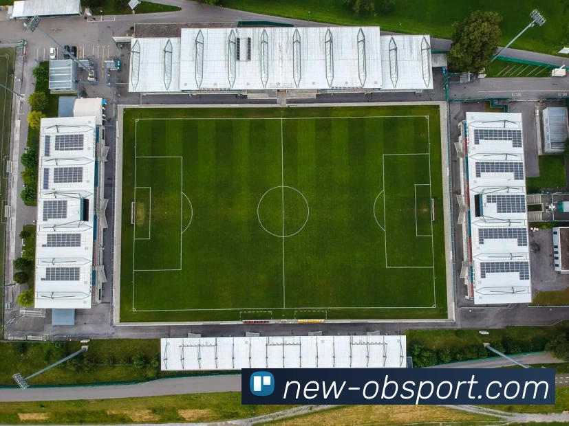 OB体育平台生态图